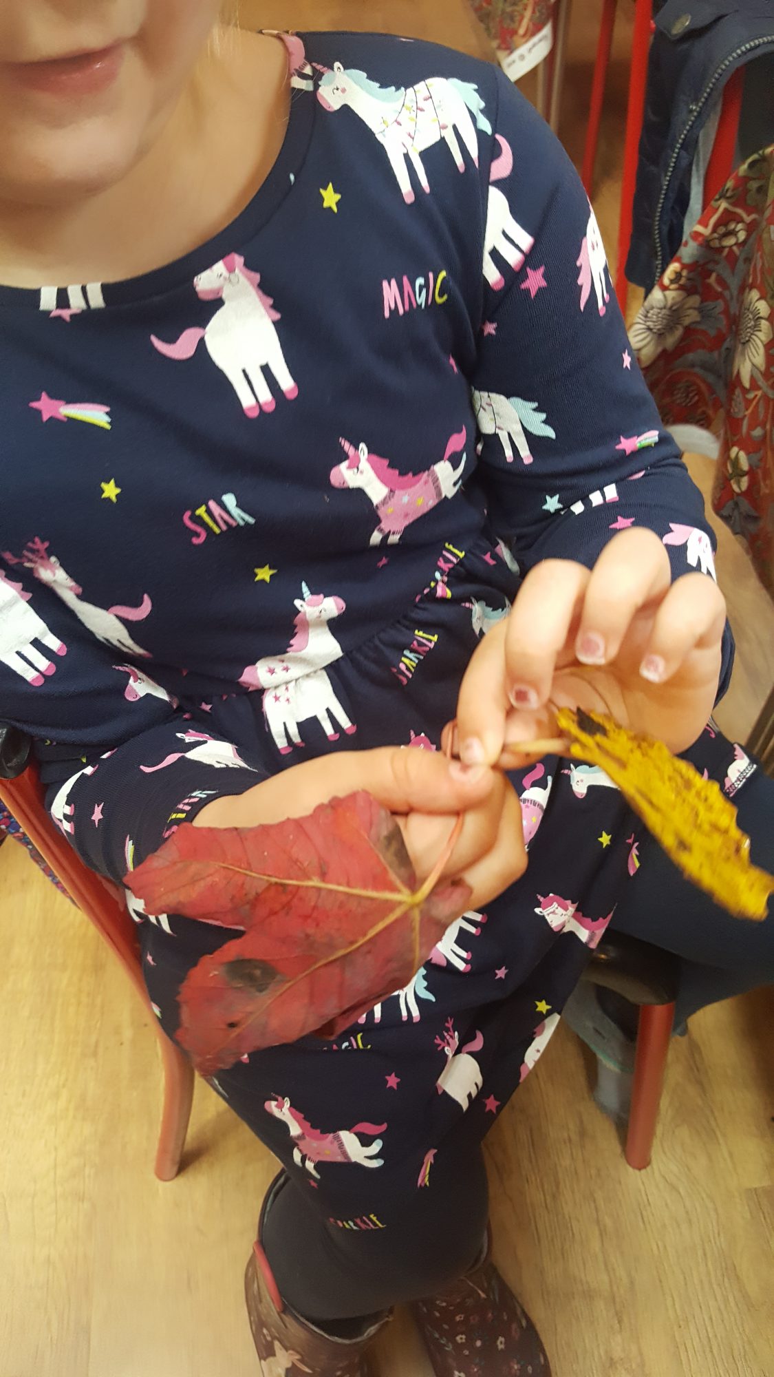 Collected Autumn Colours
